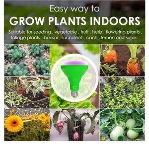 Helloify plant grow light. Comes with two bulbs